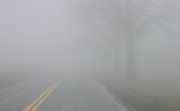 Fog