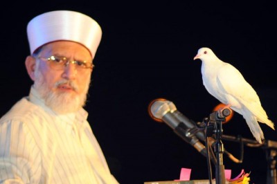  Dr Tahir-ul-Qadri