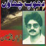 Ilyas Mohammad Hussain