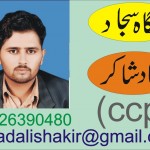 Sajjad Ali Shakir