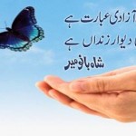 Shahbano Mir