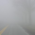 Fog