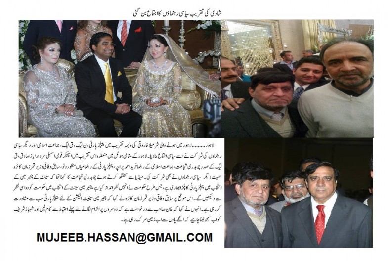 Sharmila Farooqi Wedding (2)