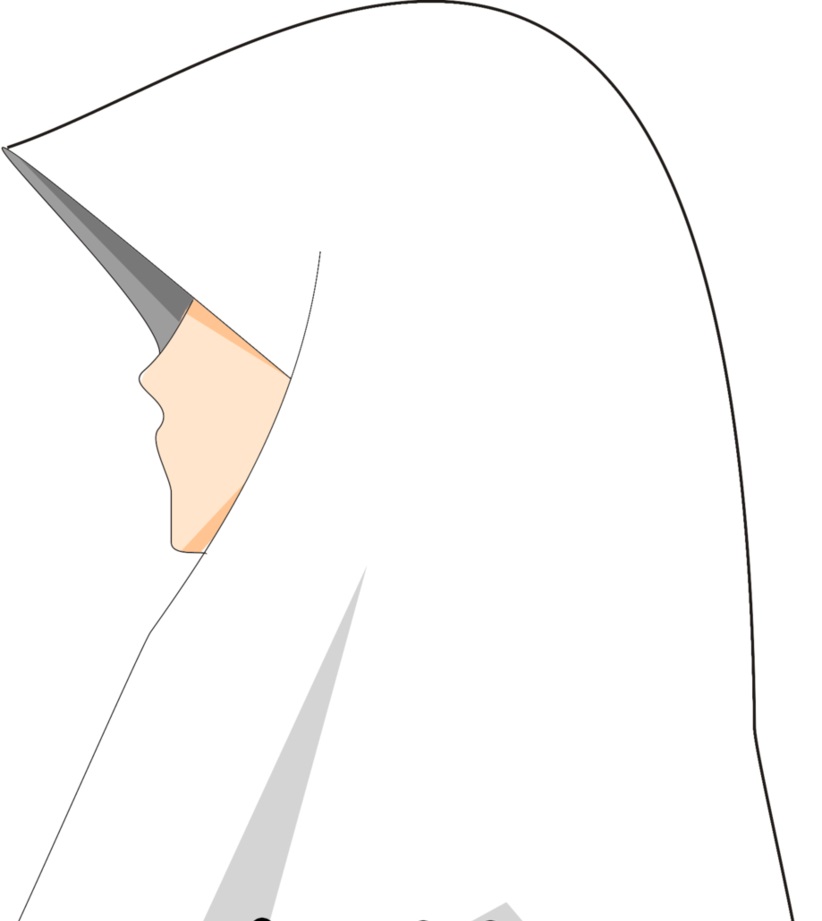 پردہ ہے پردہ