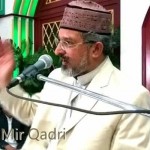 علامہ حسن میر قادری