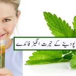 Benefits Of Mint