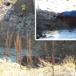 Car into River