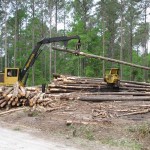 Harvesting Forests