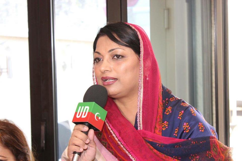 زاہد ہاشمی اورگنائ‍زر یورپ کشمیر کاز اور پاکستان تحریک انصاف کی جانب سے کشمیر کاز کے حوالے سے پروگرام (21)