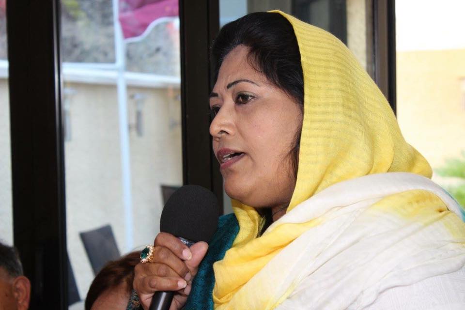 زاہد ہاشمی اورگنائ‍زر یورپ کشمیر کاز اور پاکستان تحریک انصاف کی جانب سے کشمیر کاز کے حوالے سے پروگرام (18)