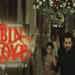 Bin Roye