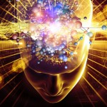 Human Brain