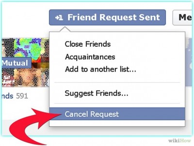 Friends Request