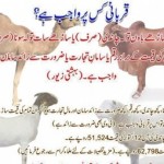 Qurbani