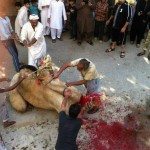 Sacrifice Eid ul Adha