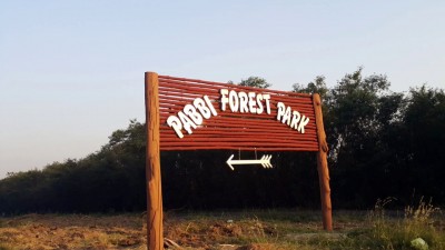 opening of the Pabbi Forest Park