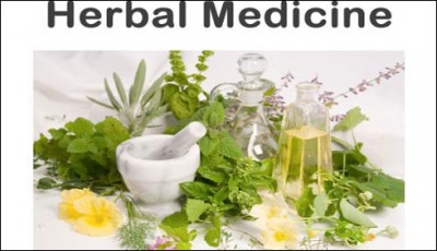  Day was celebrated across the country