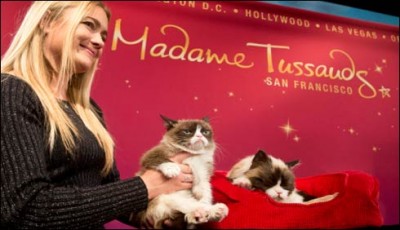 MadamTussaudsSanFranciscoCat_12-11-2015_206985_l. [downloaded with 1stBrowser]
