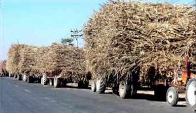 Sugarcanedemobusiness_12-11-2015_207012_l. [downloaded with 1stBrowser]