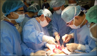 Liver transplants from SIU will