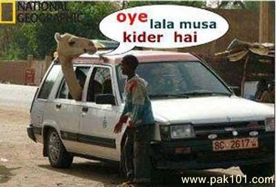 Lala Musa trolleys laden respiratory diseases in people 