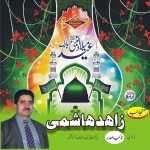 زاہد ہاشمی مرکزی نائب صدر تحریک انصاف آزاد کشمیر