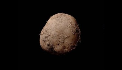 Million Dollar Unique Selling