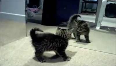 Take the mirror and see