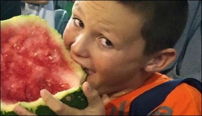 star of the Internet