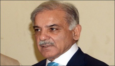 CM PIC visits, hospital patients