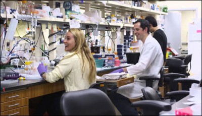  DNA distortions in relation to cancer, 