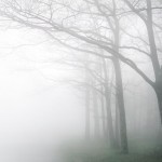 Dawn Fog
