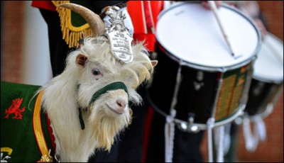 Add unique British army