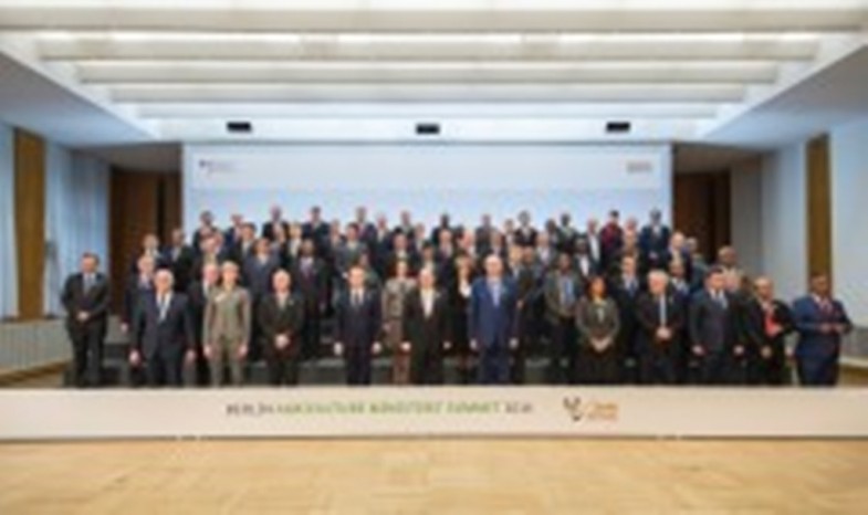 IGW Press Conferences