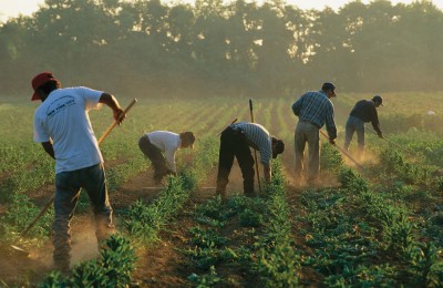 Immigrants Forced Labor