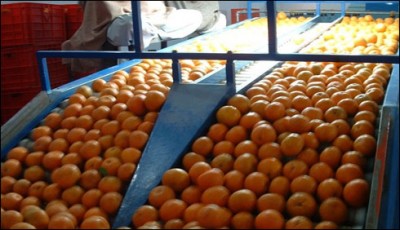 Canoe Pakistan 40 billion trade loss