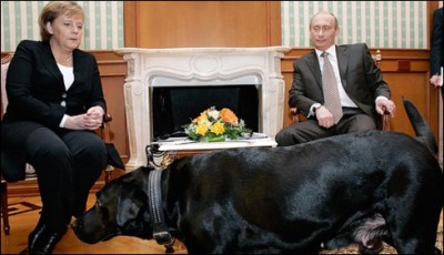 Russian President Putin apologized 