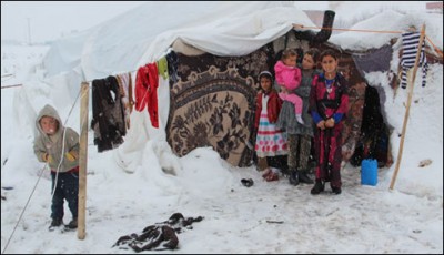 refugees living in camps odds