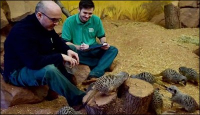 Bristol zoo animals in the annual counting