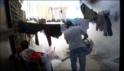 Zyka virus in South America