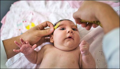 Zika virus, a new challenge