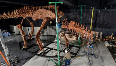 United States, was made