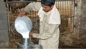 dairy milk looting Rs 100