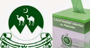 local government in Punjab