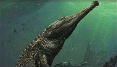 130 million years old, discovered