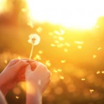 Blowing a Dandelion
