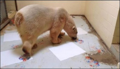 Picasso's paintings caused