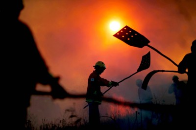 Human Effort and Struggle