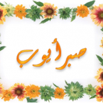Sabar e Ayoub