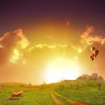 Sun Rises